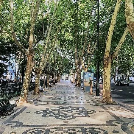 Lejlighed - Avenida